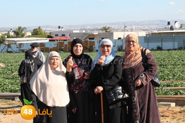 re7la tolkarem (87).JPG